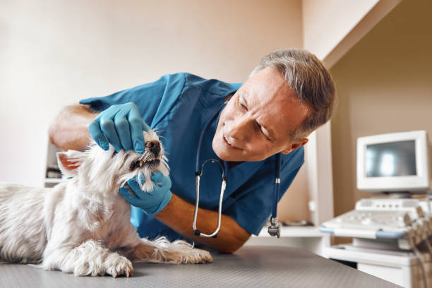 Best Emergency Dentist for Special Needs Patients in Mountville, PA